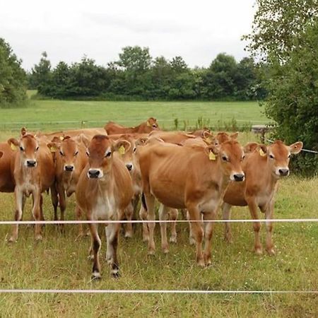 Gite A La Ferme, Au Coeur Du Mene Laurenan Luaran gambar